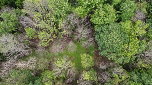 DJI_0104.JPG