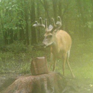 IMG_2223.jpeg