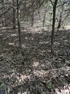 IMG_6914.jpeg