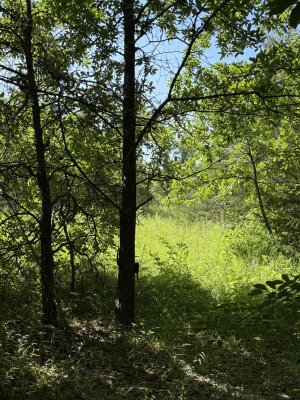 IMG_6918.jpeg