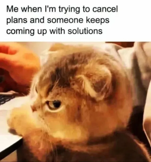 1750796652281.png