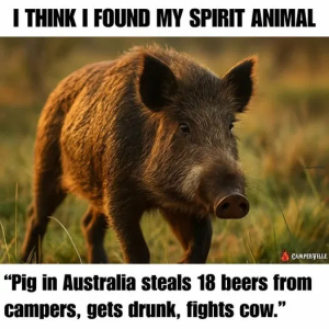 1750966375793.png