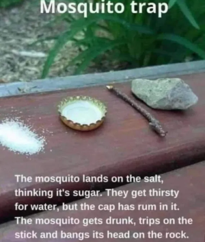 1750966955123.png