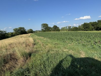 IMG_5666.jpeg