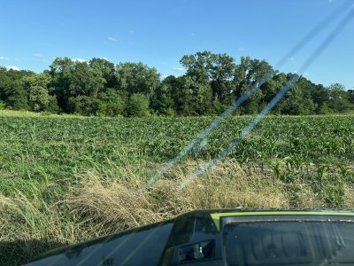 IMG_5665.jpeg