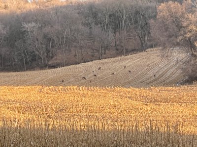 IMG_0786.jpeg