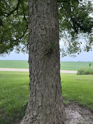 IMG_0148.jpeg