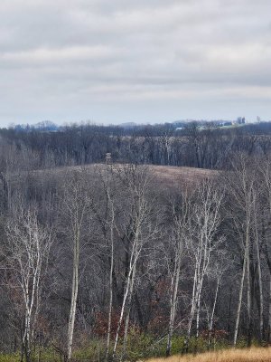 20241125_153310.jpg