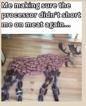 IMG_2769.jpeg