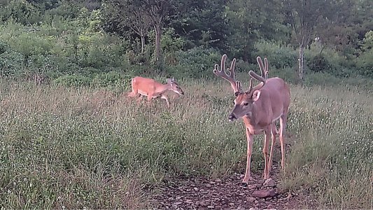 g1-DSCF0186-5.JPG