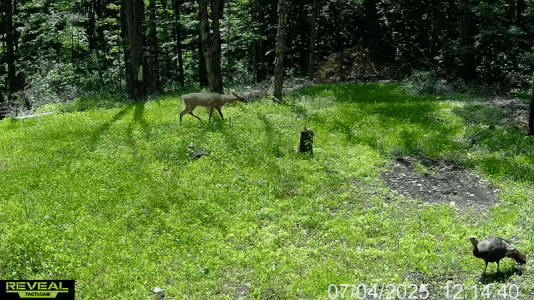 ezgif-80c190cbba4531.gif