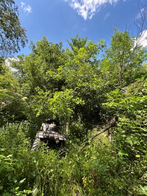 IMG_1766.jpeg