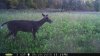 2015-10-1 SW WR.JPG