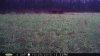 2015-10-30 SW WR.JPG