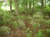 DSC01653 (Small).JPG