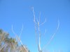 DSCN1321.JPG