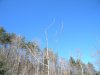 DSCN1323.JPG