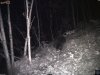 camera1 p_001154.jpg