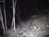camera1 p_001155.jpg