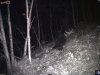 camera1 p_001184.jpg