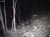 camera1 p_001186.jpg