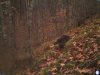 camera1 p_001244.jpg