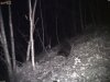 camera1 p_001281.jpg