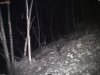 camera1 p_001305.jpg
