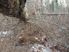 swamp 4.jpeg swamp 4.jpeg