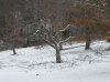 DSCN2984.JPG