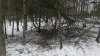 20160131_131221.jpg