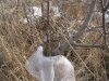 IMG_8434 2.jpg