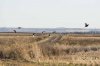 _DSC6768_1.jpg