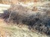 DSCN3005.JPG