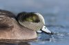 _DSC6744_1.jpg