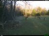 2016-04-08 17-58-30 M 1_3.JPG