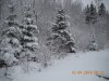 DSCN0181.JPG