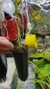 20160407_235449.jpg