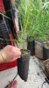 20160407_231427.jpg