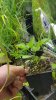 20160407_235426.jpg