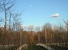 DSCN3047.JPG