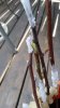 20160421_091621.jpg