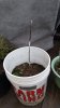 20160422_154855.jpg
