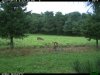2015-09-19 18-37-30 T.JPG