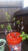 20160507_083423.jpg