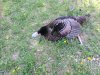 IMG_0428.JPG