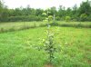 DSCN0425.JPG