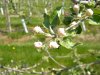 DSCN3065.JPG
