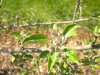 DSCN3066.JPG