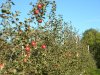 DSCN2454.JPG